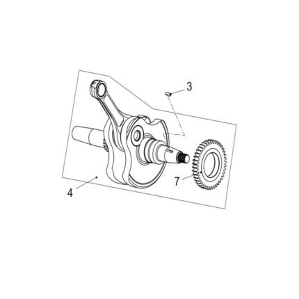 Promax 650L Krank + Pim + Dişlisi