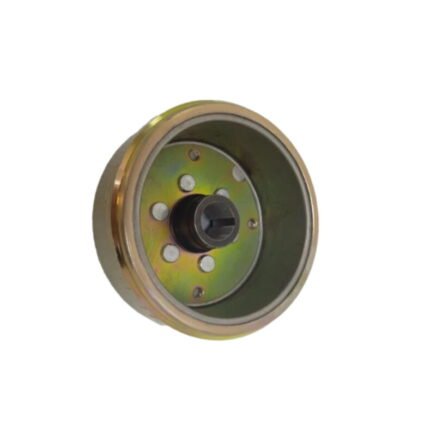 Max 125 Alternatör Volant
